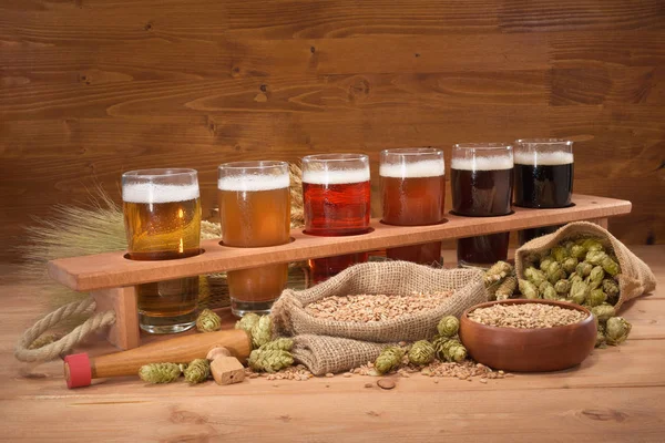 Portador Cerveza Con Muchas Cervezas Diferentes Trigo Cebada Lúpulo Malta — Foto de Stock