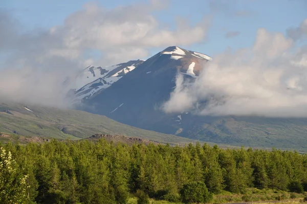 Landscape Egilsstadir Iceland Mountain Verdant Surroundings Mountains Summit Forest Green — Stock Photo, Image