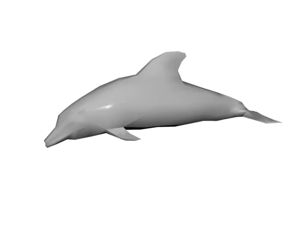 Υδρόβια Ψάρια Δελφινιών — Φωτογραφία Αρχείου