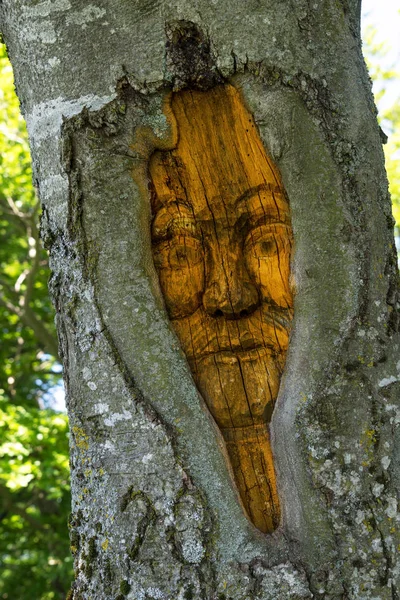 Вырезанное Лицо Стволе Дерева — стоковое фото