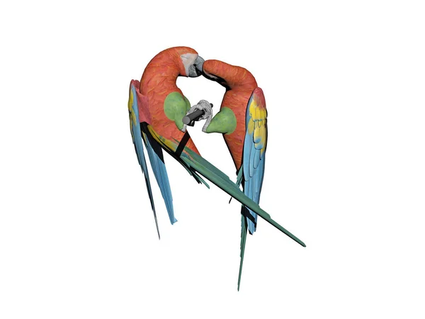 Мальовничий Вид Красивого Птаха Папуги — стокове фото