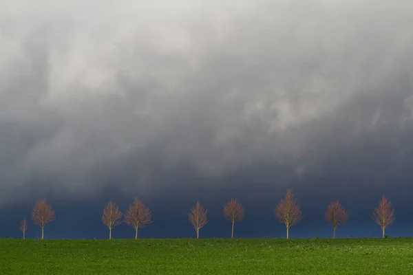 Malerischer Blick Auf Die Natur — Stockfoto