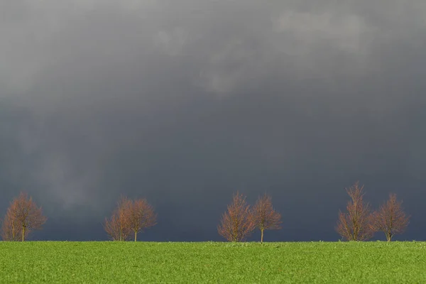 Schöne Aussicht Auf Die Natur — Stockfoto