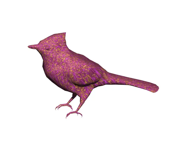 Zangvogel Verenkleed Vogel Kijken — Stockfoto