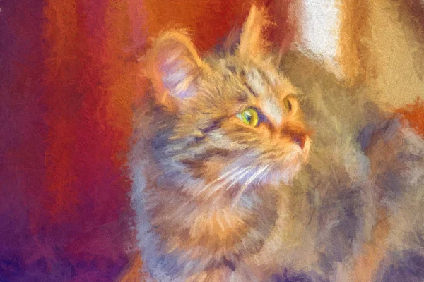 Foto Gato Modificado Para Parecer Com Uma Pintura — Fotografia de Stock