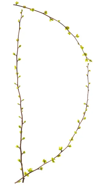 Buchstabe Als Alphabet Aus Zweigen Mit Grünen Blättern — Stockfoto