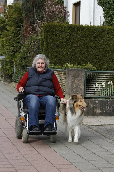 Senior Femme Avec Son Chien Fauteuil Roulant — Photo