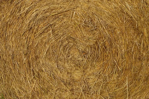 Huge Straw Bales Meadow — Stock Photo, Image