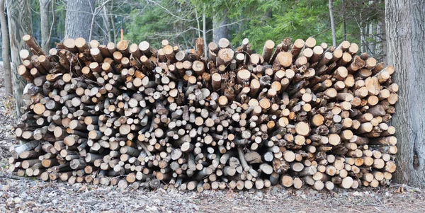 Stapel Hout Voor Industrie — Stockfoto