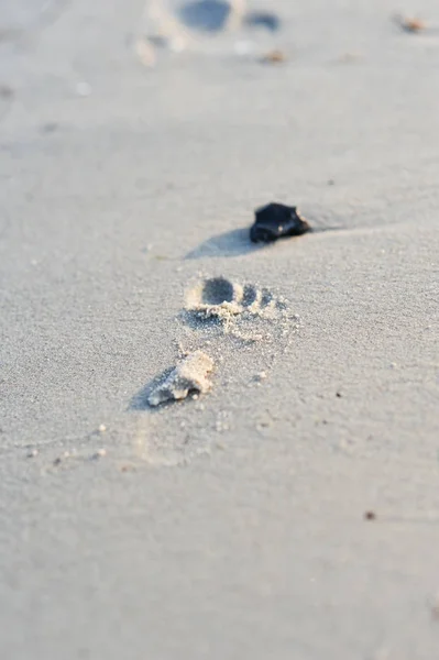 Footprints Sand — Stock Photo, Image