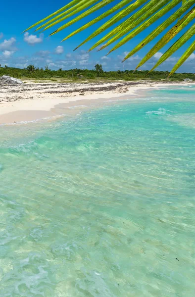 Wild Tropical Sandy Beach Turquoise Waters Caribbean Sea Scenery Playa — Stock Photo, Image