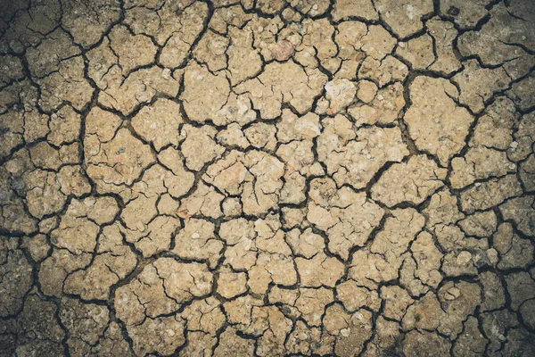 Primo Piano Terra Argillosa Incrinata Nella Stagione Secca — Foto Stock