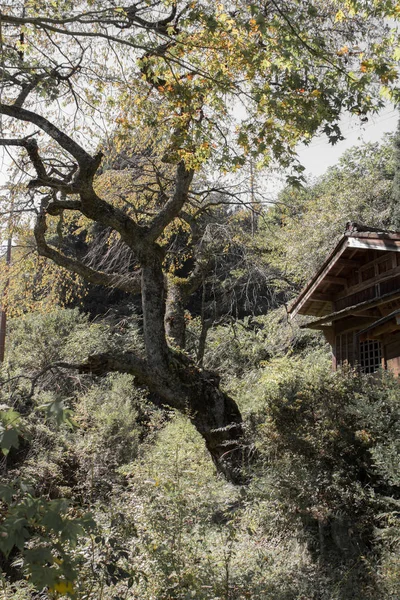 Andere Architektur Selektiver Fokus — Stockfoto