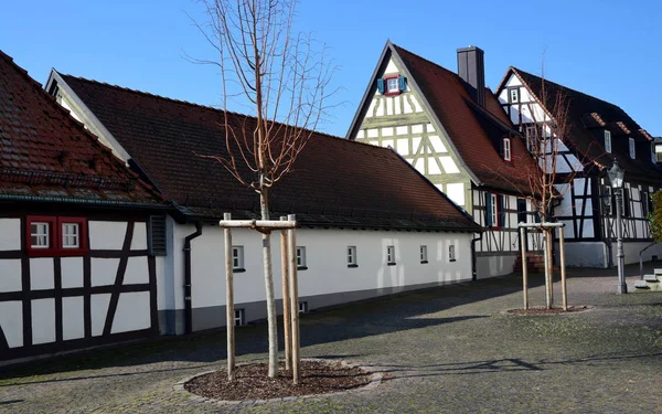 Dřevěný Soubor Malé Kulturní Centrum Reinzabern — Stock fotografie