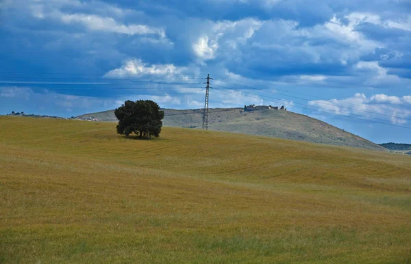 Graanvelden Landbouwlandschap Casa Reina Badajoz — Stockfoto