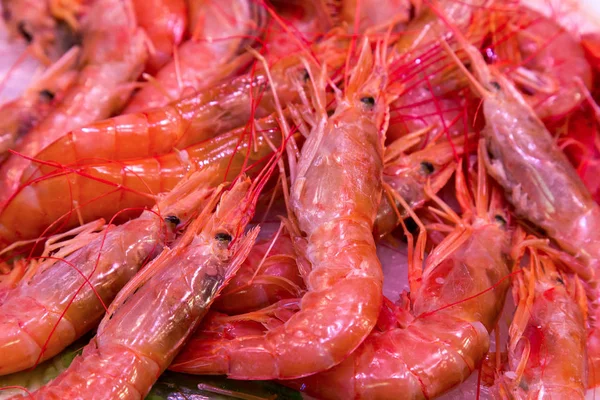 Camarões Frescos Mercado Boqueria Barcelona Espanha — Fotografia de Stock