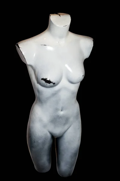 灰色的人体模型 完整的女性躯干 有一条剪路 — 图库照片