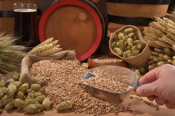 Cerveza Barril Cerveza Con Trigo Cebada Lúpulo Malta — Foto de Stock
