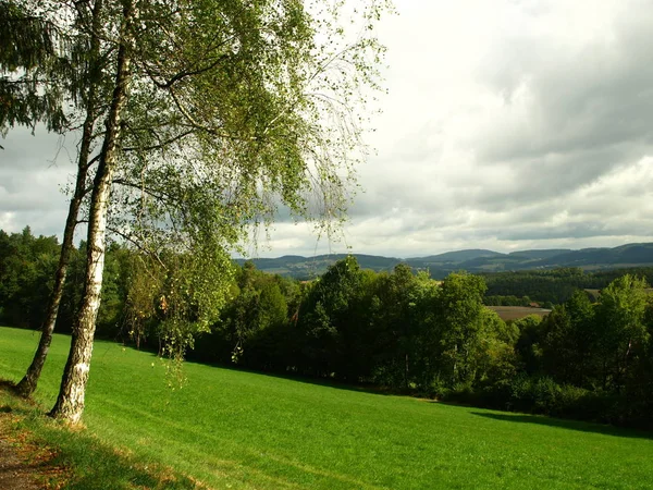 Grå Moln Över Mellersta Bayerska Skogen — Stockfoto