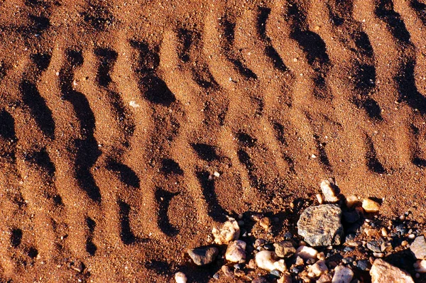 Tire Tracks Australian Bush — Stock Photo, Image