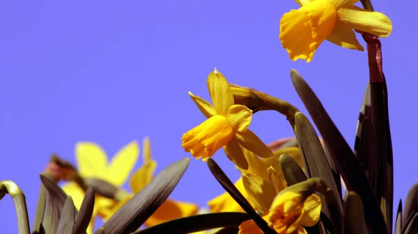 Schilderachtige Visie Het Huwelijk Concept — Stockfoto