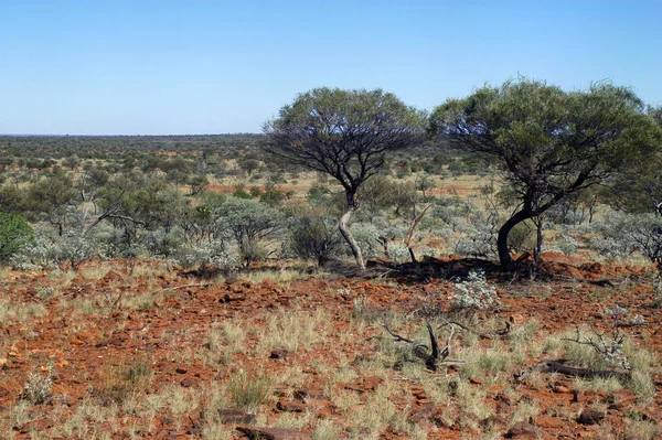 Landscape Australian Bush Stock Photo