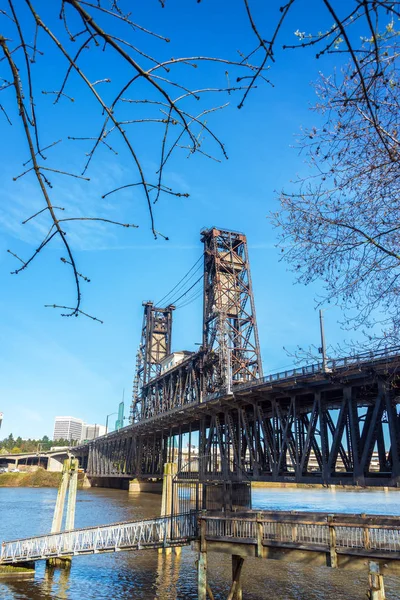 Vertikale Ansicht Der Stahlbrücke Portland Oregon Eingerahmt Von Blattlosen Bäumen — Stockfoto