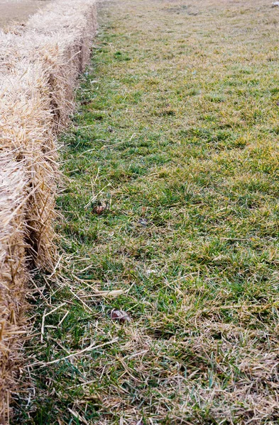 Fila Pequenos Fardos Palha Quadrados Formando Barreira Grama — Fotografia de Stock