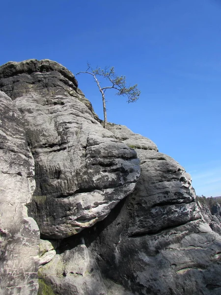 Natuurfotografie Rotsachtig Landschap — Stockfoto