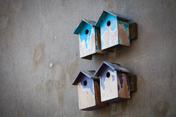Maisons Oiseaux Sur Mur — Photo