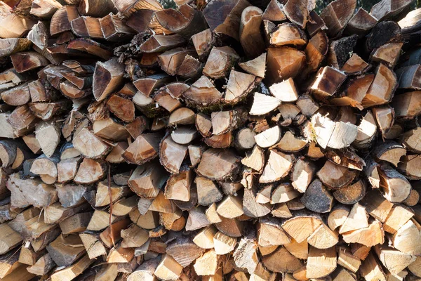 Stack Fire Wood Sunlight — Stock Photo, Image