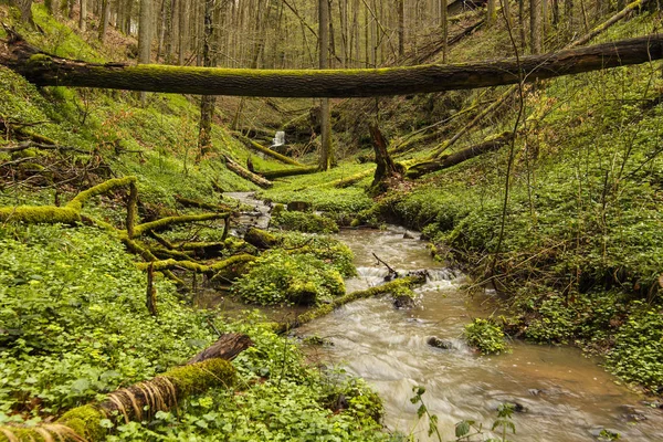 Hermosa Cascada Sobre Fondo Naturaleza — Foto de Stock