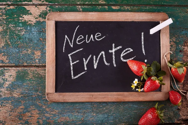 Einzelne Rechteckige Tafel Mit Deutschem Text Frische Ernte Auf Oberfläche — Stockfoto