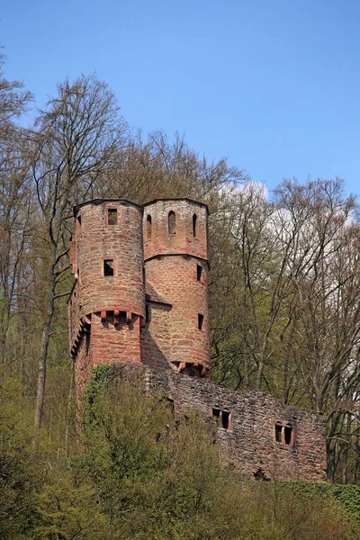 Castillo Ruina Schwalbennest Neckarsteinach —  Fotos de Stock