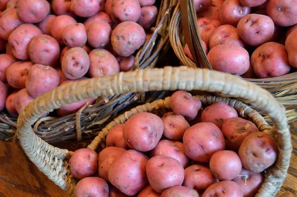 Baskets Full Fresh New Potatoes Locally Grown Florida Fresh Produce — Stock Photo, Image