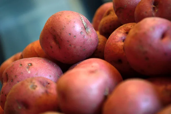 Pile Raw Red New Potatoes Blue Gray Background Extreme Closeup — Stock Photo, Image