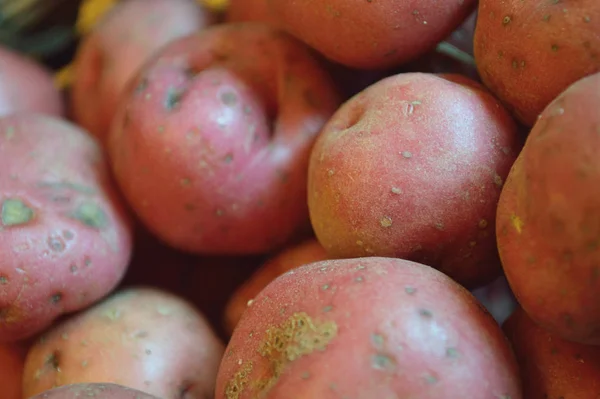 Basket Full Fresh New Potatoes Locally Grown Florida Fresh Produce — Stock Photo, Image
