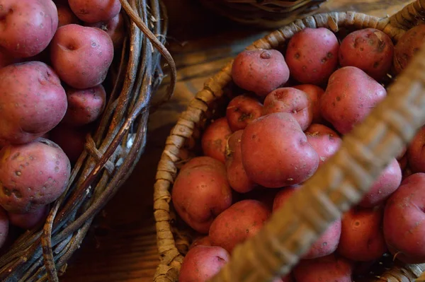 Cesta Llena Nuevas Patatas Frescas Cultivadas Localmente Florida Productos Frescos —  Fotos de Stock