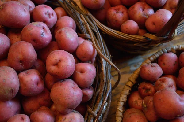 Egy Kosár Friss Krumplival Floridában Termesztik Friss Termék Kosárban Vörös — Stock Fotó