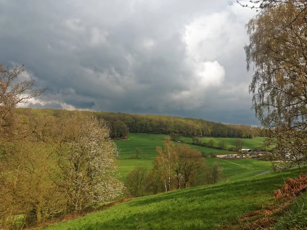 Ein Wald Auf Dem Hügel Und Ein Bauernhof Mit Feldern — Stockfoto