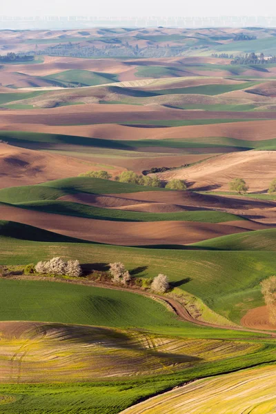 Zon Opkomt Het Landschap Een Oranje Tint — Stockfoto