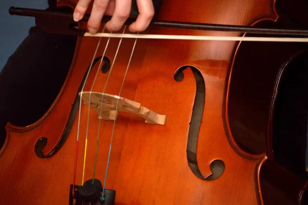 用弓弹奏大提琴 巴洛克弓 — 图库照片
