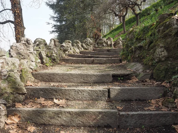 Αρχαία Σκάλα Ένα Λόφο Ανάμεσα Στα Δέντρα — Φωτογραφία Αρχείου