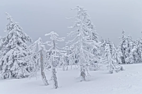 Blick Auf Eine Winterszene — Stockfoto