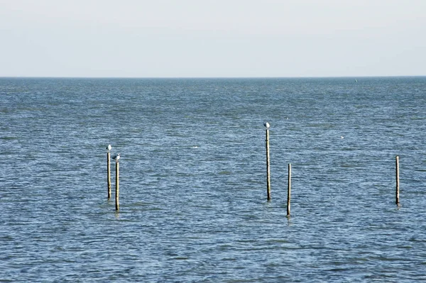 Havet Ijsselmeer Vid Volendam Underlandet Med Stim Fiskare — Stockfoto
