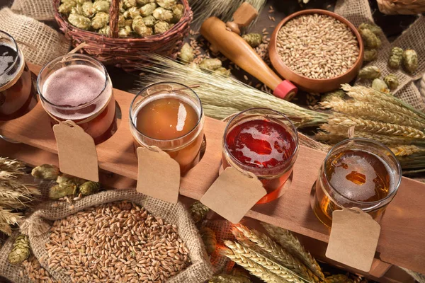 Beer Support Many Different Beers Wheat Barley Hops Malt — Stok fotoğraf