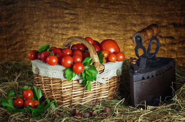 Colheita Tomates Cereja Cesta — Fotografia de Stock