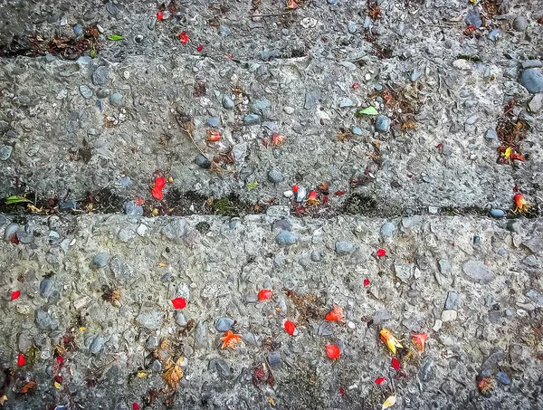 Pétalos Rojos Naranjas Cayeron Los Viejos Escalones Piedra —  Fotos de Stock