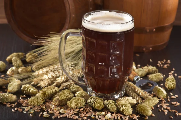 Bierglas Mit Bierfässern Weizen Gerste Hopfen Und Malz — Stockfoto
