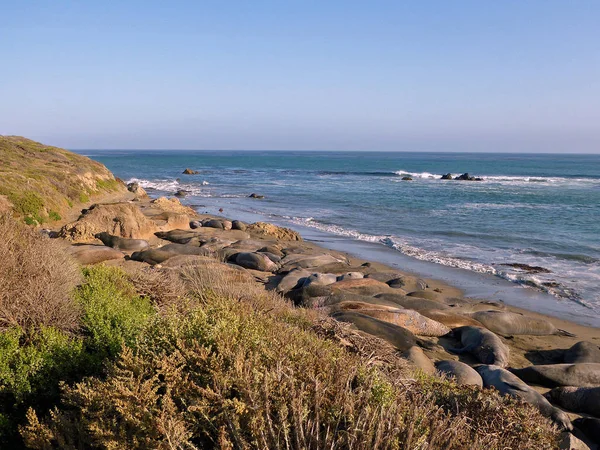 Hermosa Vista Orilla Del Mar —  Fotos de Stock